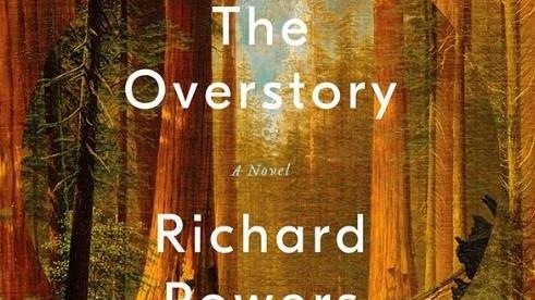 Lenke til artikkel: The Overstory (2018)