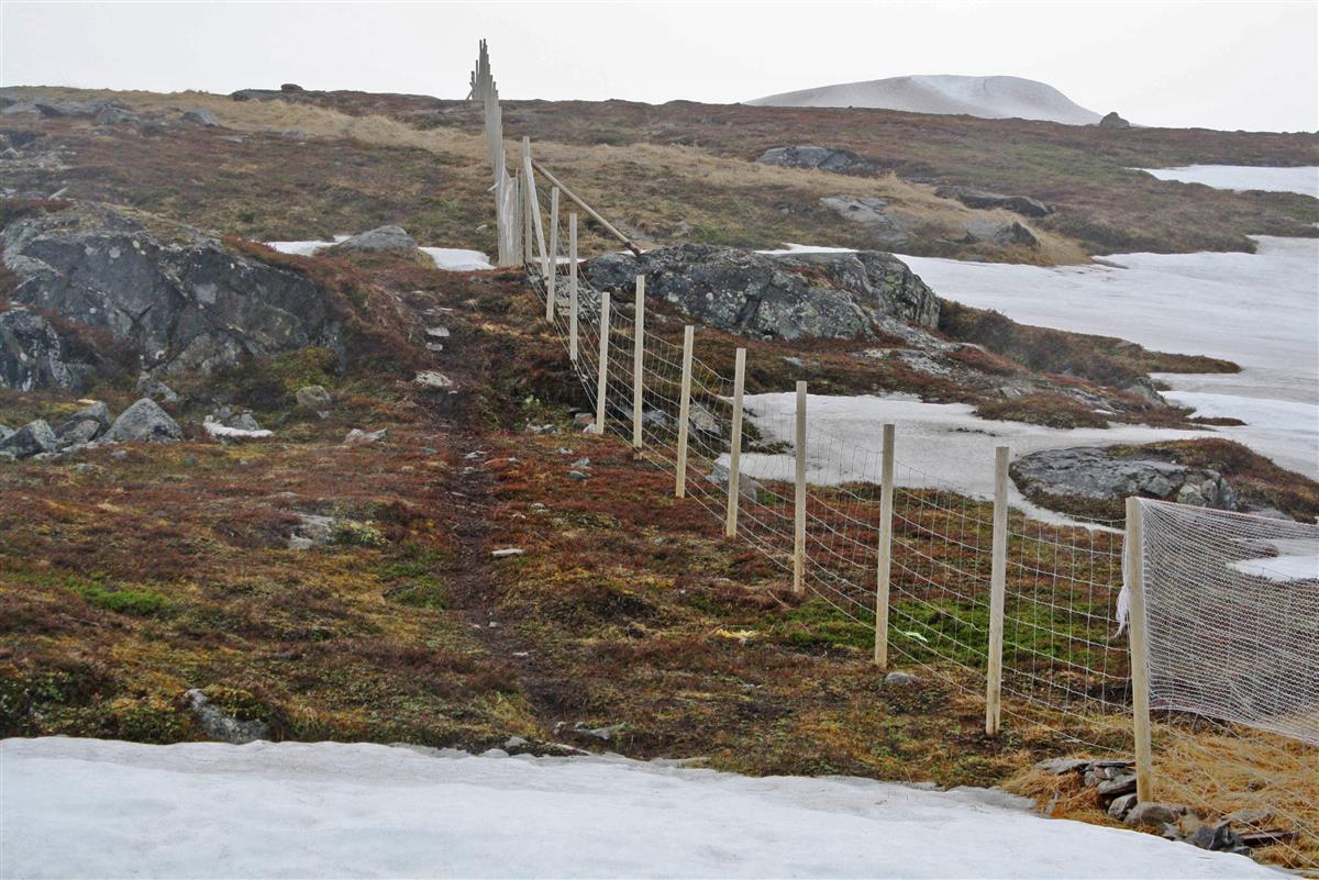 Nettinggjerde med gjerdestolper i fjellandskap med snøflekker - Klikk for stort bilde