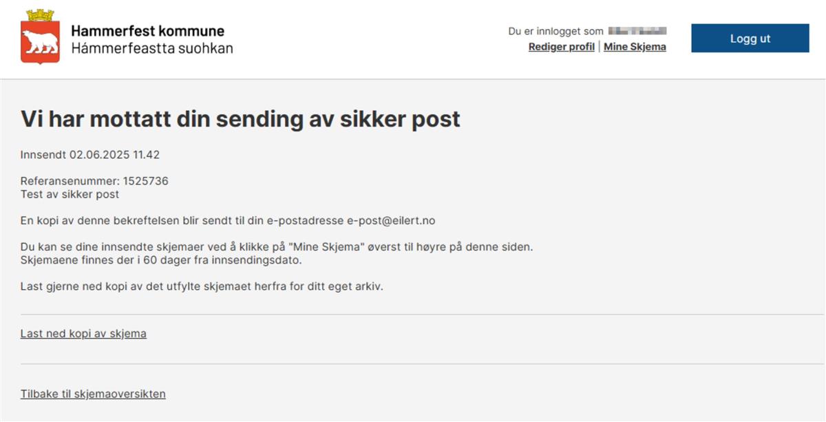 Skjermklipp fra sendingsskjema - Klikk for stort bilde