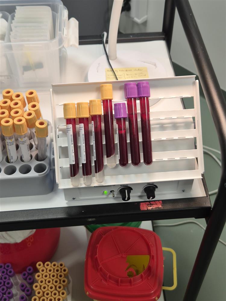 Helseundersøkelse - Klikk for stort bilde